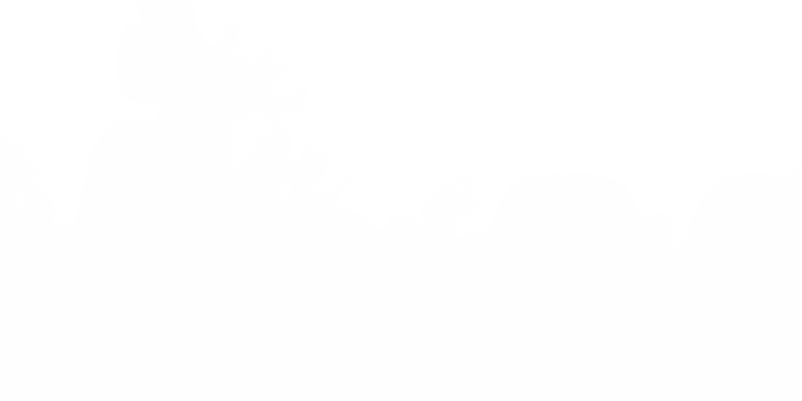 SMOKE COLLECTION